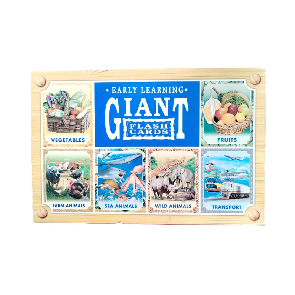 B-MEC-0005 EARLY EARNING GIANT FLASH CARDS B-MEC-0005 EARLY EARNING GIANT FLASH CARDS - Image 1